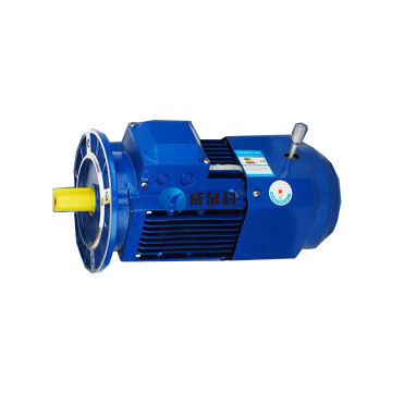 電鍍設備專(zhuān)用東元剎車(chē)電機