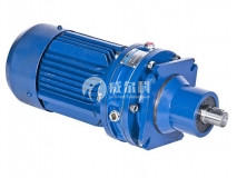 非標(biāo)擺線(xiàn)針輪減速機(jī)