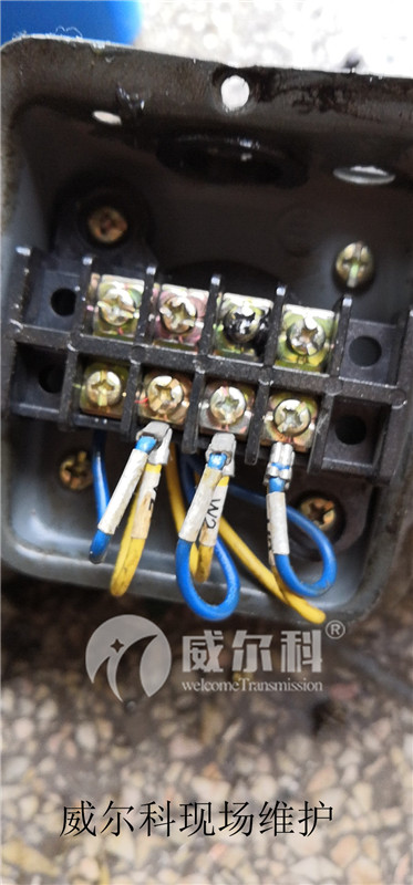 wx_camera_1559465810687.jpg wx_camera_1559465810687.jpg