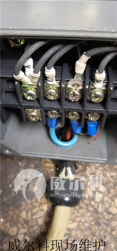 wx_camera_1559465829227.jpg wx_camera_1559465829227.jpg