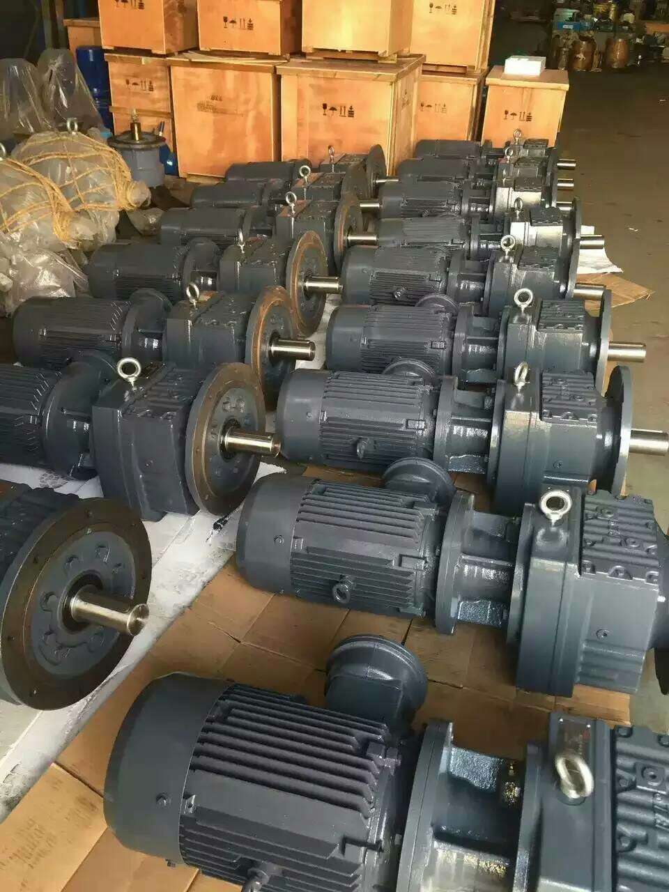 IMG_-54446008.jpg IMG_-54446008.jpg